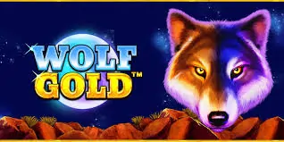 Wolf Gold